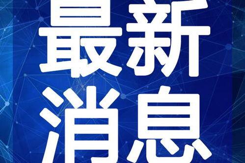 阳江辣妈爆料视频大全最新,辣妈生活瞬间，趣味横生