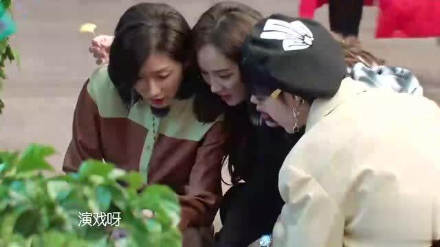 程姐吃瓜,揭秘娱乐圈幕后故事