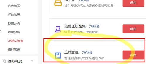 头条小说连载评分8,头条小说连载的巅峰之作
