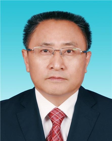 陈明星 河南,探寻河南陈明星的传奇人生