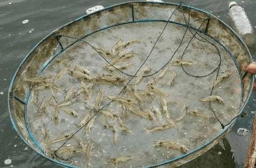 教你看料台,解锁投资理财新视角