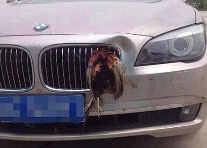 爆料宝马汽车偷工减料视频,揭秘视频曝光惊人内幕