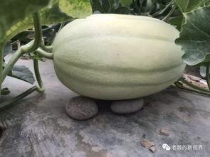 吃瓜唱歌房,释放压力的欢乐空间