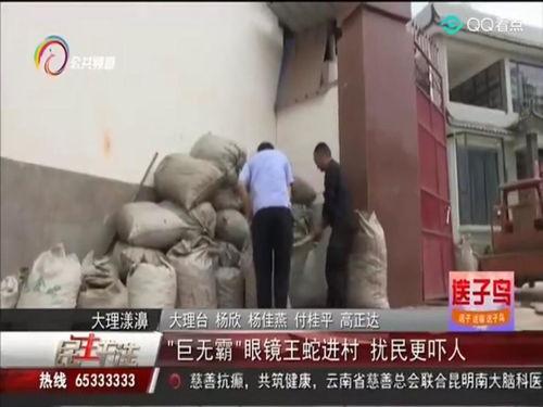 大理民生事件爆料视频播放,视频揭露背后真相
