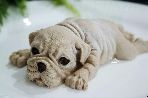 沙皮网红狗,萌态可掬的互联网宠儿