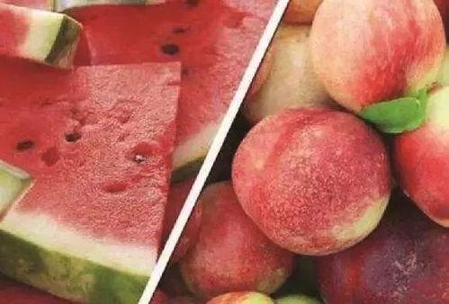 临沂吃瓜视频大全集,揭秘当地美食文化盛宴