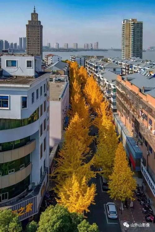 宜兴的网红路,探寻江南水乡的时尚新地标