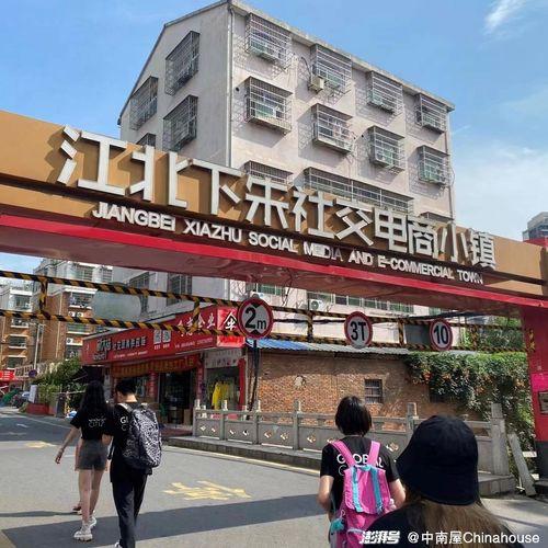 网红二府庄村直播,网红乡村魅力绽放，带你领略田园生活新风尚”