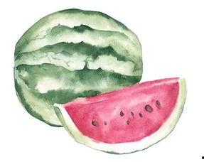 吃瓜者51,揭秘娱乐圈背后的真相与八卦