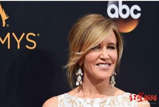 带蒂的明星,带蒂明星的璀璨风采