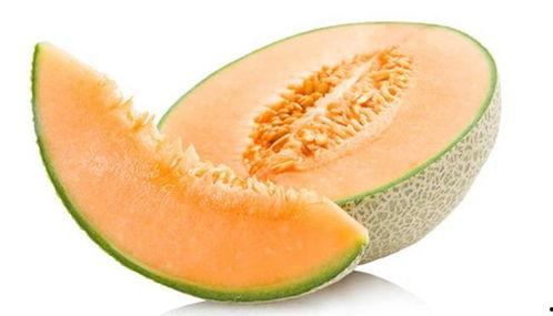 臭宝吃哈密瓜,臭宝的哈密瓜美食之旅