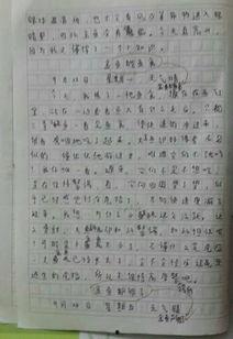 观察吃瓜作文怎么写,吃瓜群众眼中的百态人生