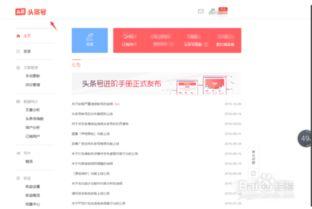 今日头条 昵称,梦想起航的旅人n副标题：跟随“梦想起航的旅人”，探索人生旅程的无限可能