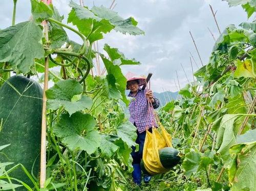 网上劲爆吃瓜,揭秘娱乐圈最新热点事件！
