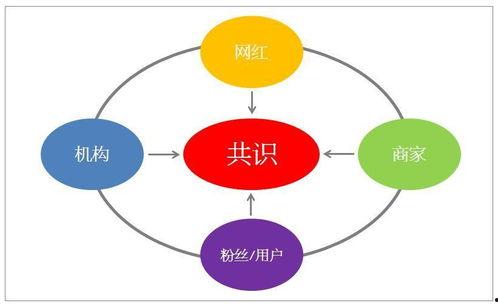 什么是区块链网红经济,重塑数字影响力与商业价值