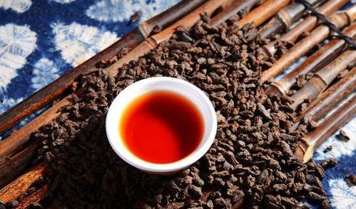 普洱网红公司排名