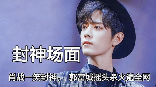 明星的意义,璀璨星辰下的多重意义