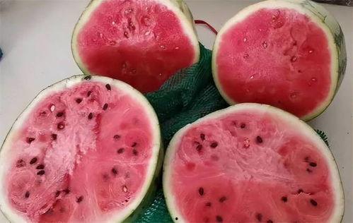 孕妇可以吃麒麟瓜,麒麟瓜的营养与食用指南